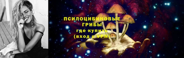 a pvp Инсар