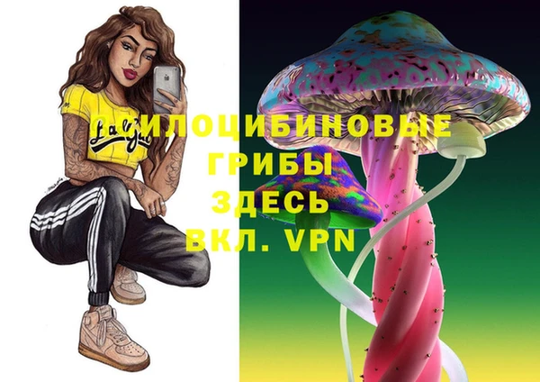 a pvp Инсар