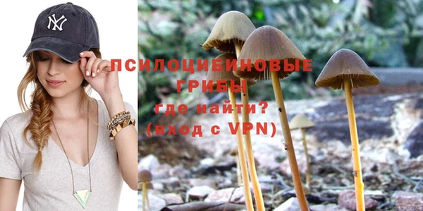 a pvp Инсар