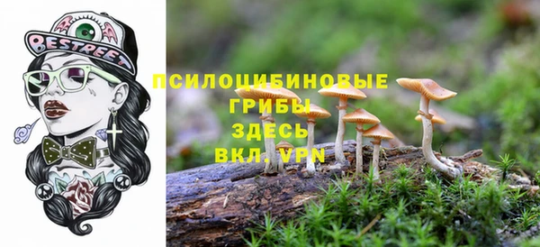 a pvp Инсар