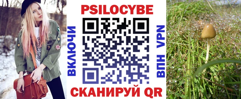 Купить закладки  Дорогобуж  Галлюциногенные грибы прущие грибы 