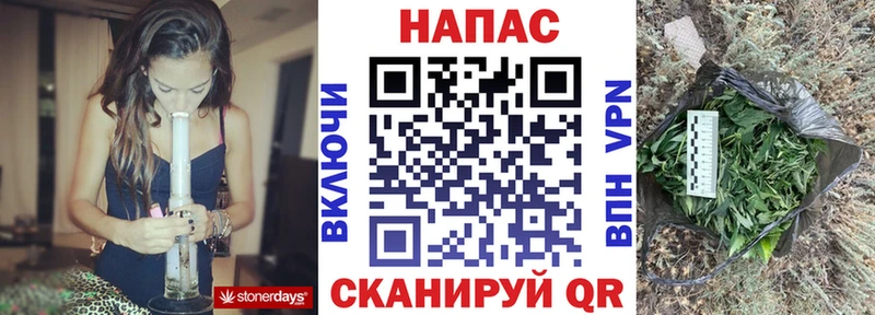 Купить где  Дорогобуж  Каннабис индика 